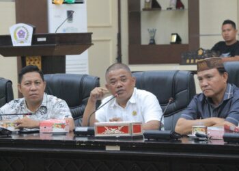 Nasir Dorong Pemda Selesaikan Berbagai Persoalan Daerah