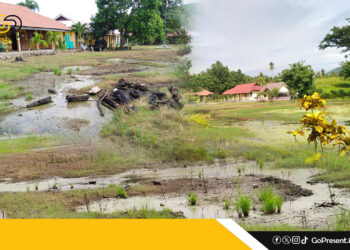 Cerita Pilu di SMP Negeri 1 Wanggarasi : Ruang Kelas Rusak, Halaman Tergenang Selama 4 Tahun