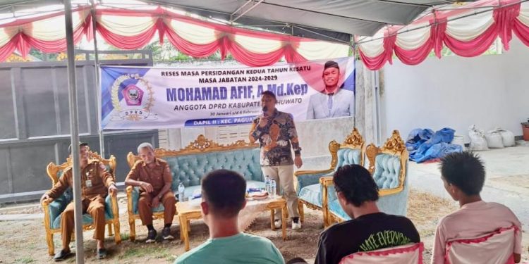 Harga Jagung Musim Tanam Melambung, Musim Panen Anjlok, Mantri Afif Bakal Sidak Perusahaan