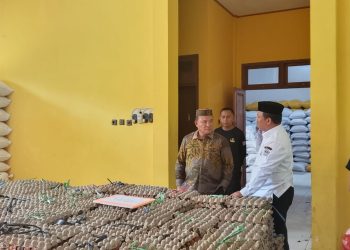 Beni Nento Tinjau Penyaluran Bantuan Modal Usaha bagi Pelaku UMKM