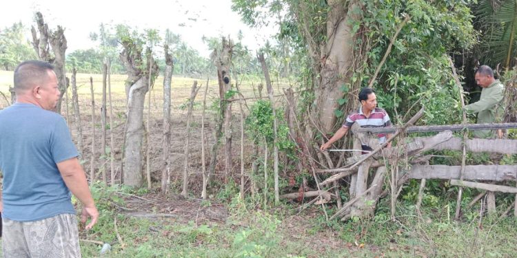 Baru Urus Surat Tanah, Warga Diduga Dipalak Kades Botubilotahu Rp 3,75 Juta